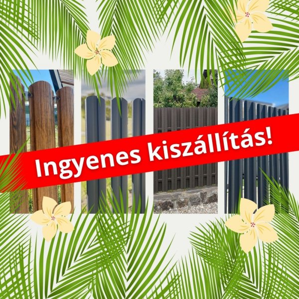 Nyári akció