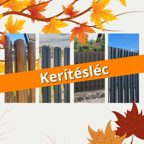Ingyenes kiszállítás
